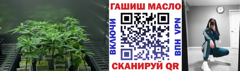 ТГК жижа  Купить закладки  Меленки 