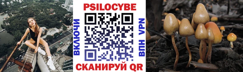 Галлюциногенные грибы Magic Shrooms  Купить  Меленки 
